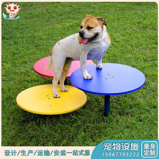 專業(yè)寵物搖馬 戶外寵物搖馬 室外寵物搖馬定制廠家——樂圖無動力游樂設(shè)備