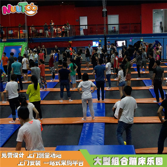 室內大型蹦床公園 蹦蹦床生產(chǎn)廠家實物案例展示LT-BC001